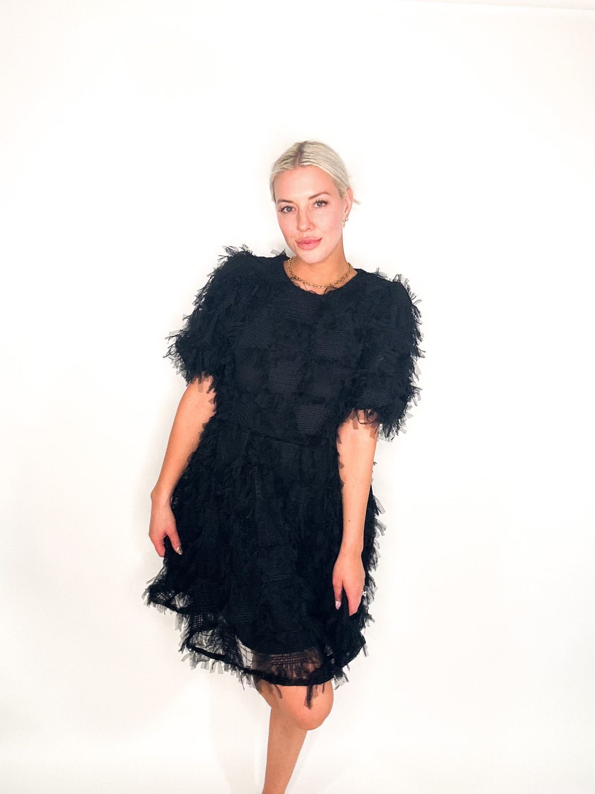 Gridded Mesh Feathered Puff Sleeve Mini Dress