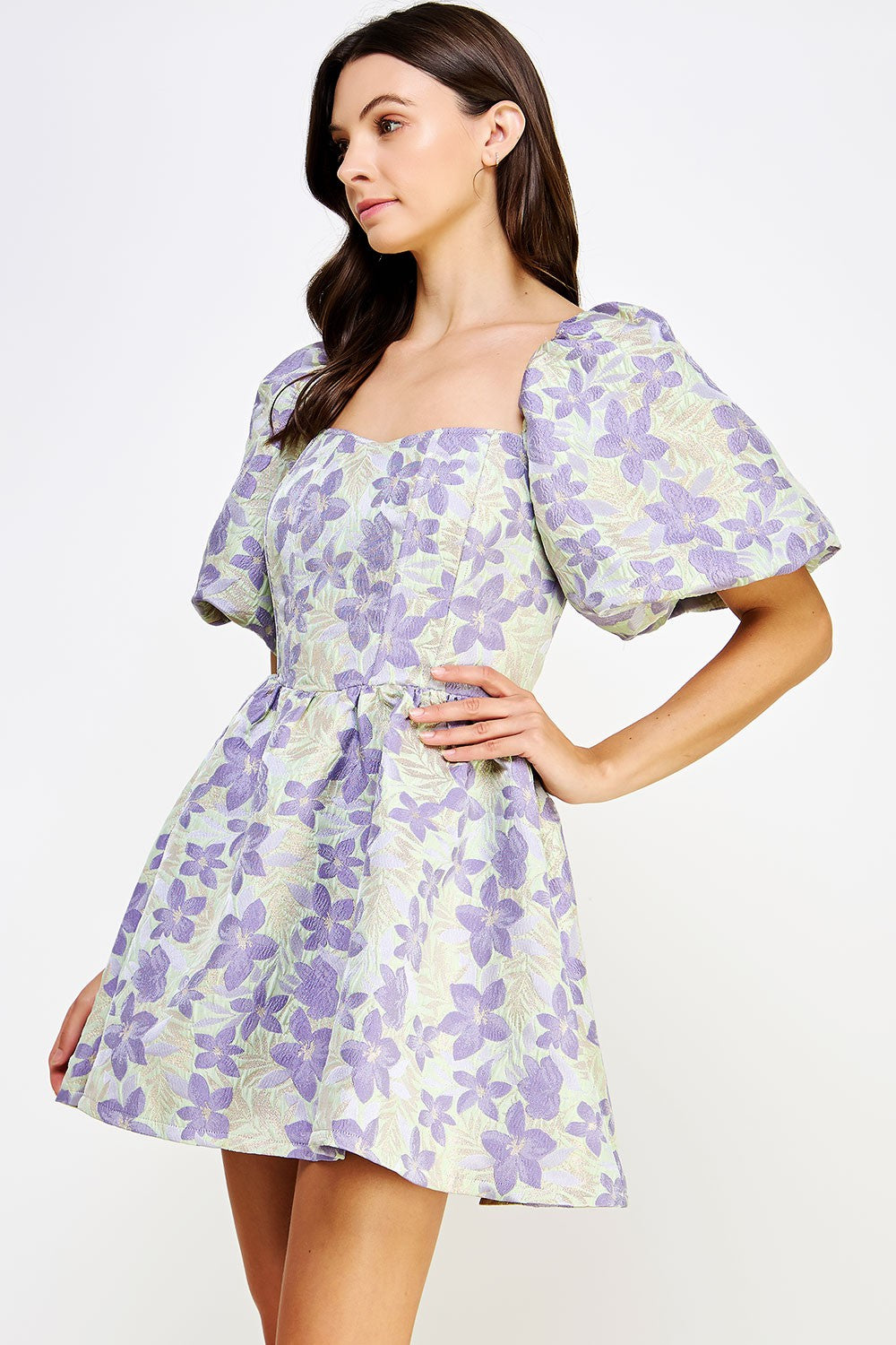 Balloon Sleeve Floral Jacquard Mini Dress