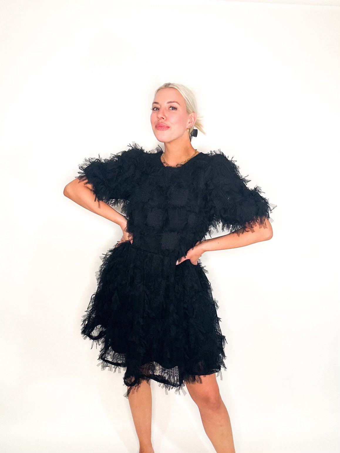 Gridded Mesh Feathered Puff Sleeve Mini Dress